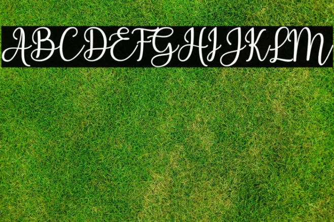 Ashadiya Example 3