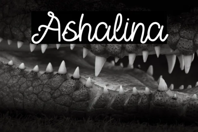 Ashalina Example 2