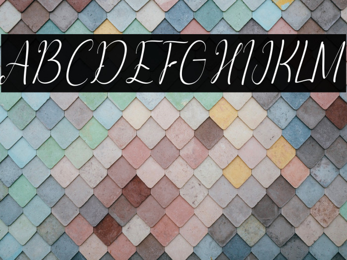 Ashanty Herlina Italic Example 1