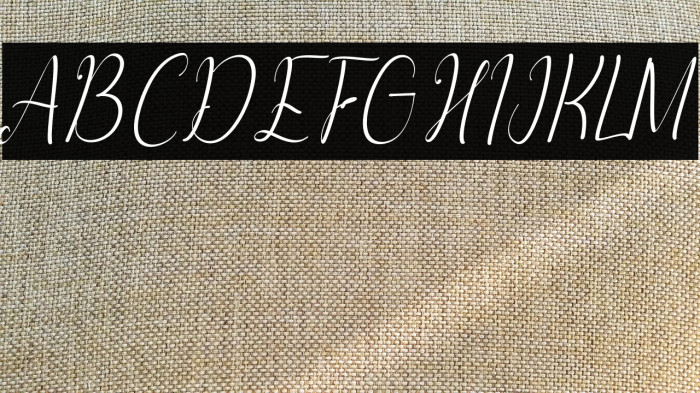 Ashanty Herlina Italic Example 3