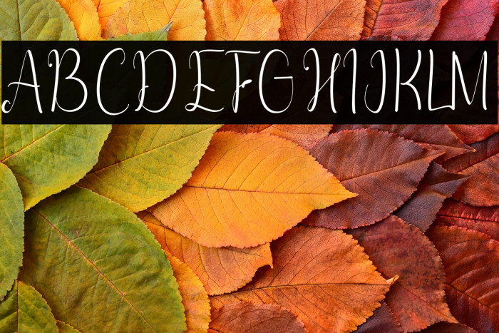 Ashanty Herlina Example 1