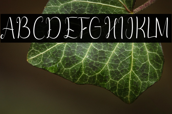 Ashanty Herlina Example 2