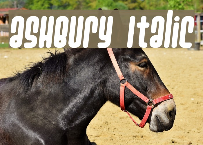 Ashbury Italic Font examples
