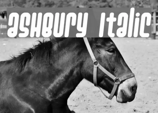 Ashbury Italic フォント examples