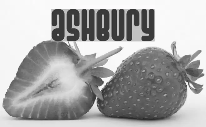 Ashbury Шрифта examples