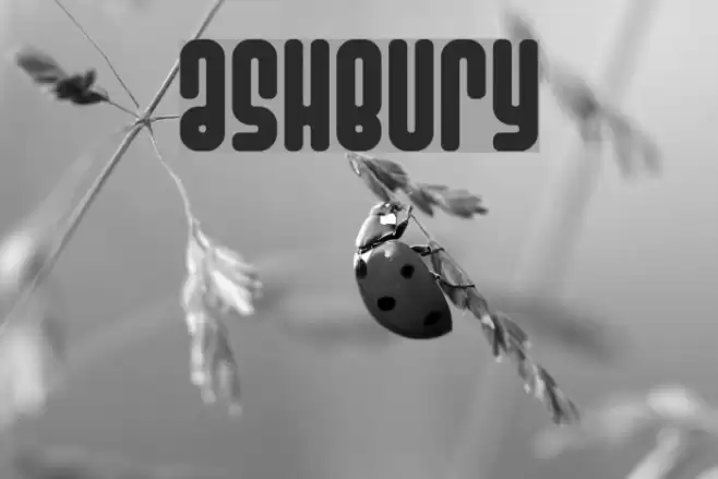 Ashbury Шрифта examples