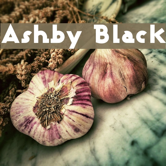 Ashby Black Font examples