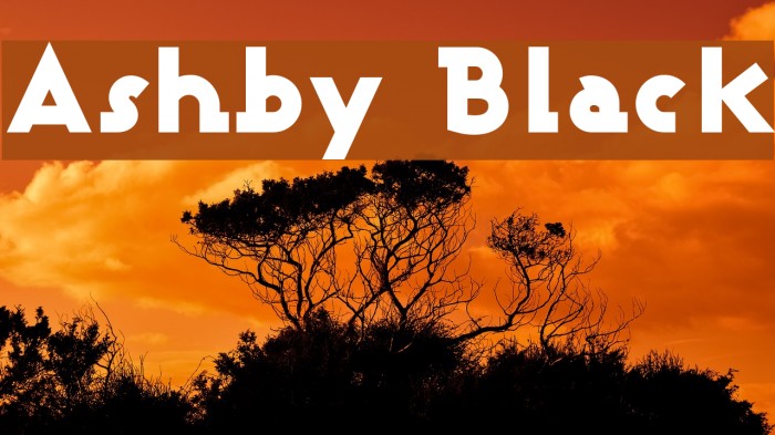 Ashby Black Font examples