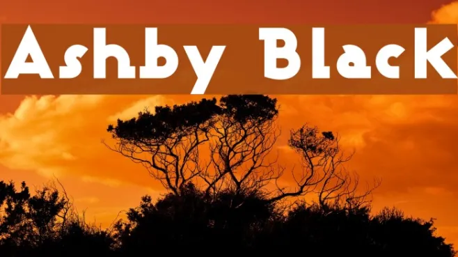 Ashby Black Example 3