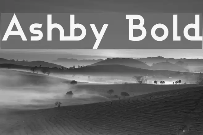 Ashby Bold Font examples