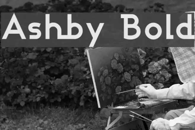 Ashby Bold Font examples