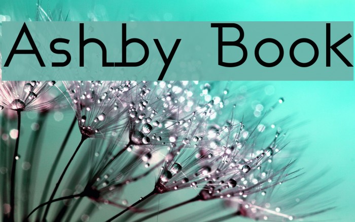 Ashby Book Шрифта examples