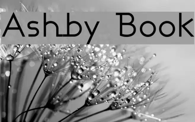 Ashby Book Font examples