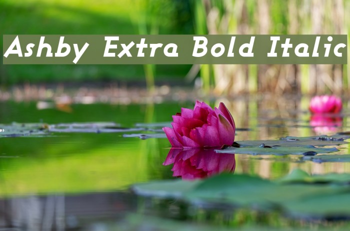 Ashby Extra Bold Italic Font examples