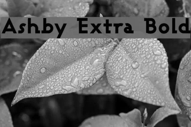 Ashby Extra Bold フォント examples