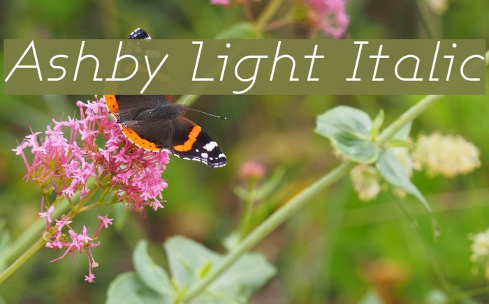 Ashby Light Italic Font examples