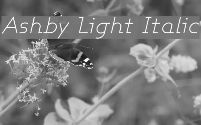 Ashby Light Italic Caratteri examples