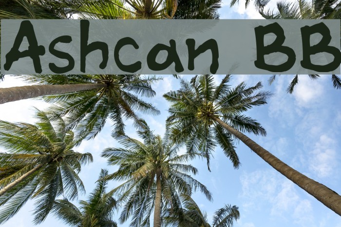 Ashcan BB Font examples