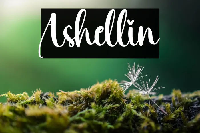 Ashellin Example 1