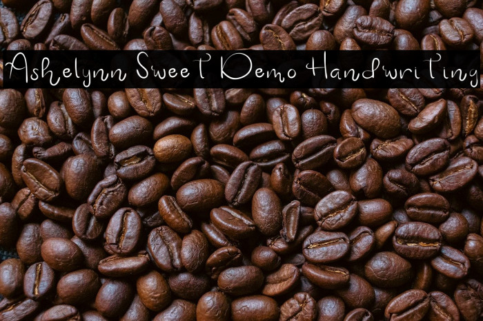 Ashelynn Sweet Demo Handwriting Example 2