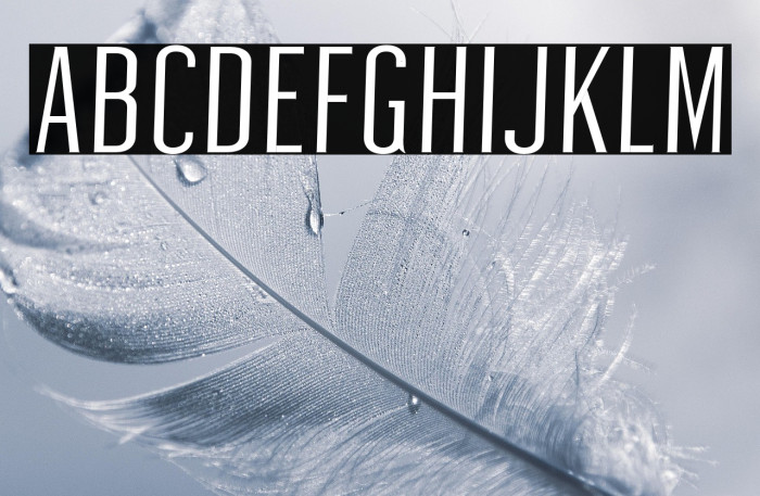 Ashemark Regular Example 3