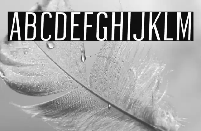 Ashemark Regular Font examples