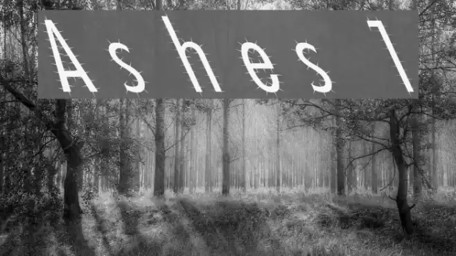 Ashes 1 Font examples