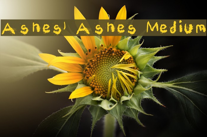 Ashes, Ashes Medium Font examples