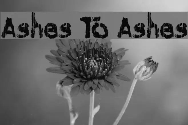 Ashes To Ashes Font examples