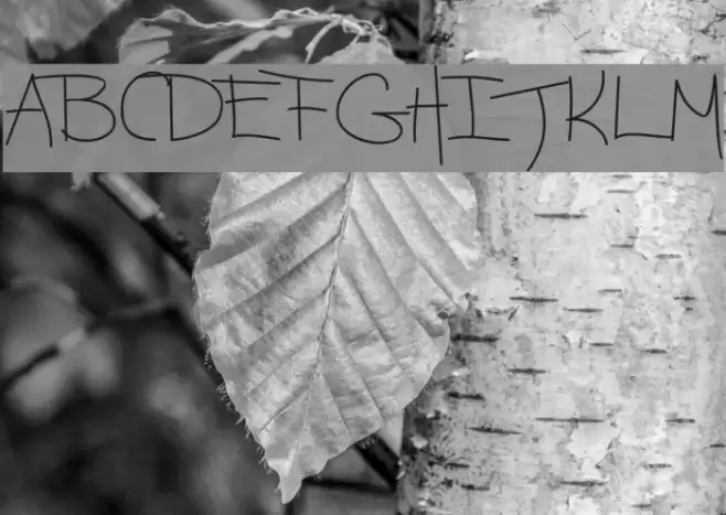 Ashford Font examples