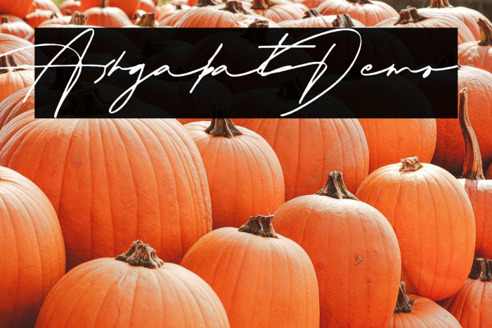 Ashgabat Demo Example 2