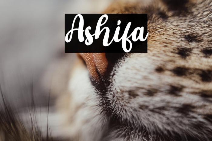 Ashifa Example 2