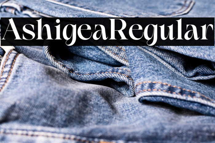 Ashigea Regular Example 1
