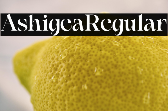 Ashigea Regular Example 2