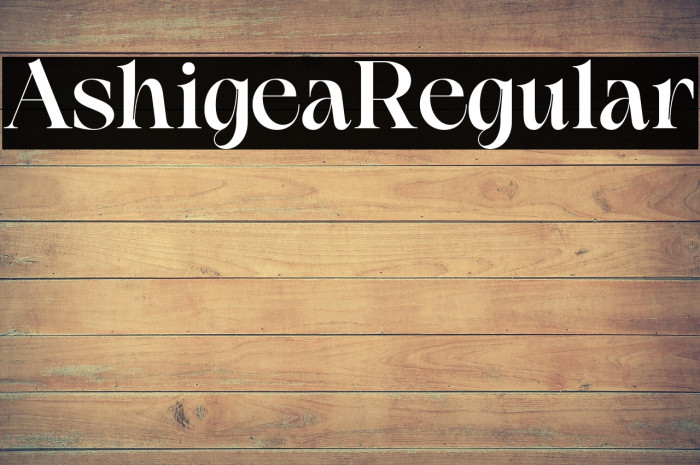 Ashigea Regular Example 3