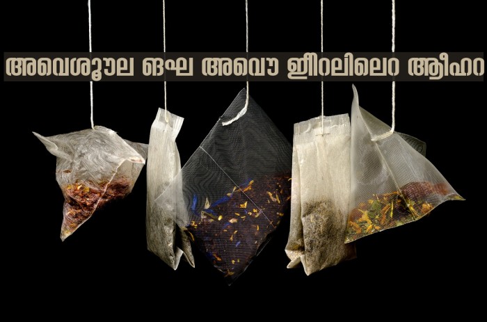 Ashique ML Ashu Condensed Bold Example 2