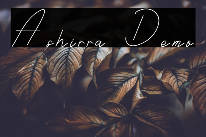 Ashirra Demo Example 2