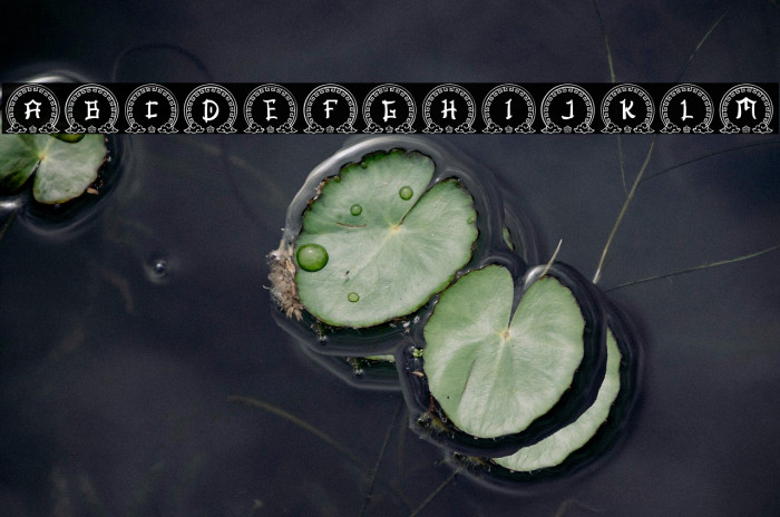 Ashito Chinese Monogram Regular Example 3