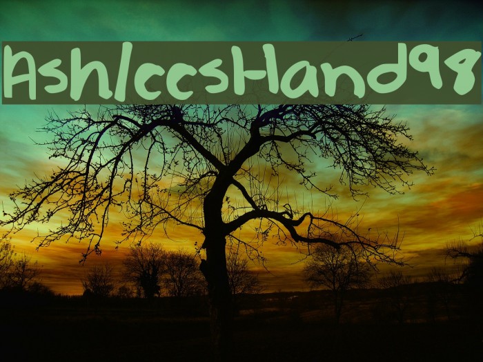 AshleesHand98 Example 2