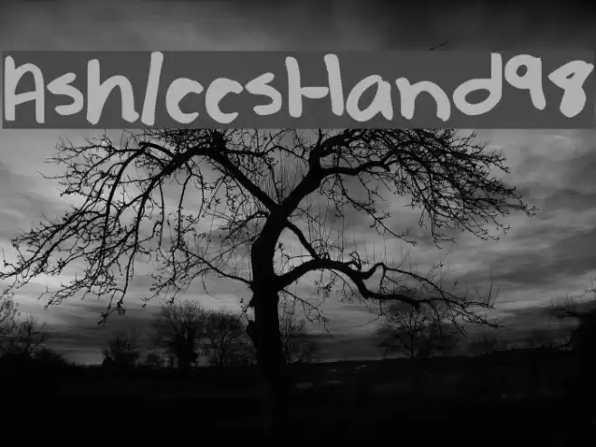 AshleesHand98 Font examples