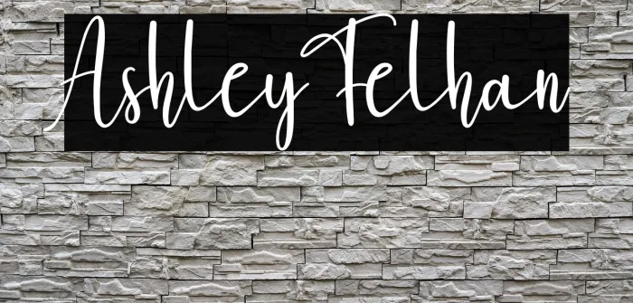 Ashley Felhan Example 1