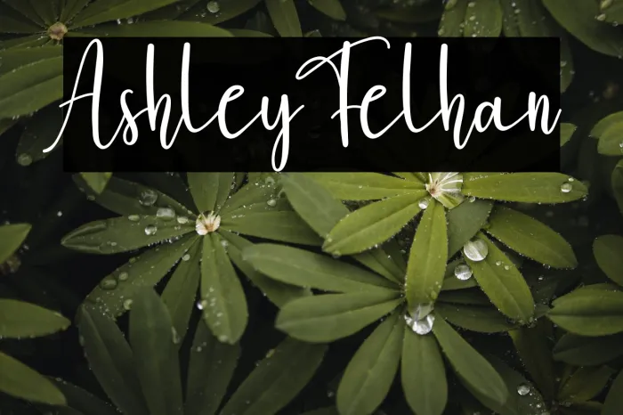 Ashley Felhan Example 2