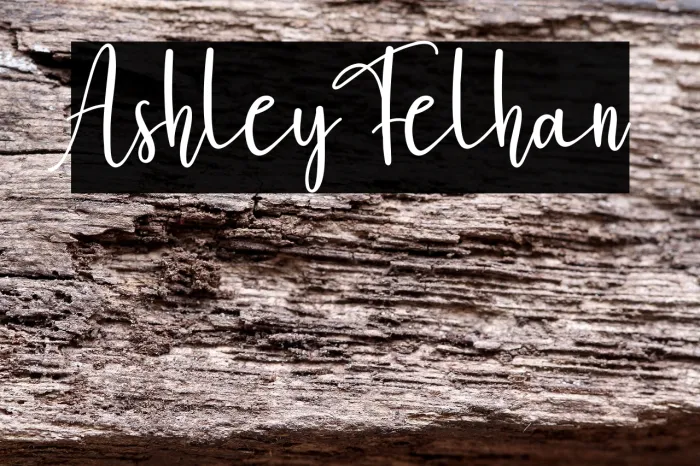 Ashley Felhan Example 3