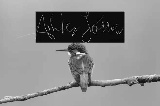 Ashley Jarrow Font examples