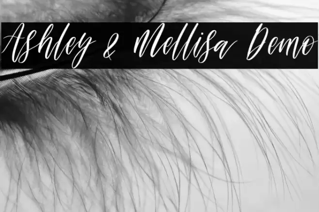 Ashley & Mellisa Demo Schriftart examples