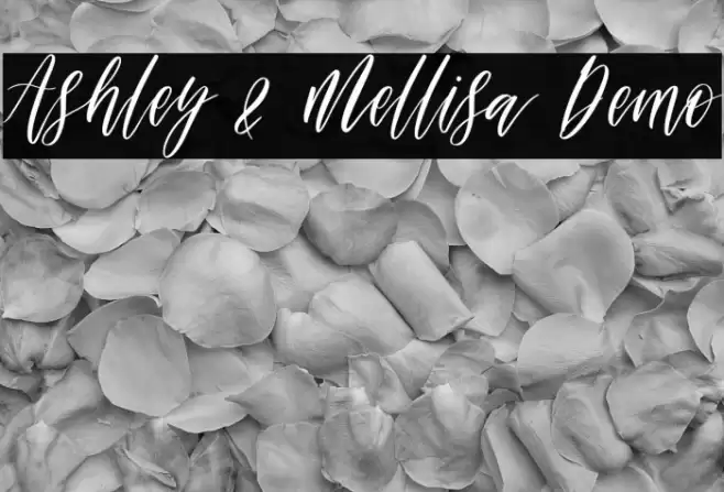Ashley & Mellisa Demo Schriftart examples