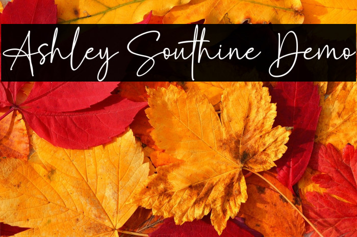 Ashley Southine Demo Example 1