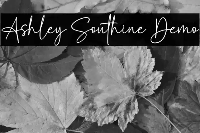 Ashley Southine Demo Schriftart examples