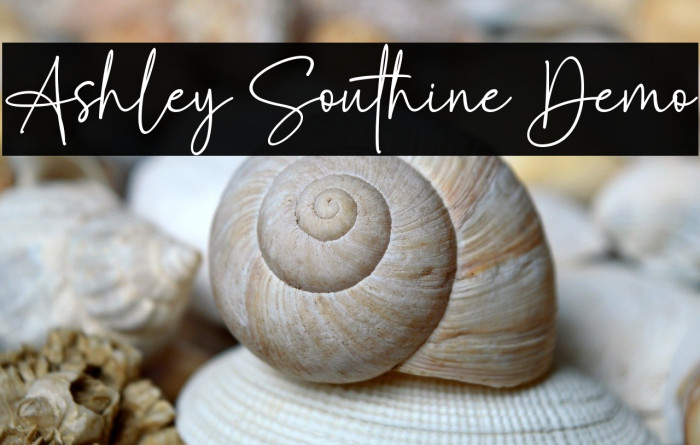 Ashley Southine Demo Example 2