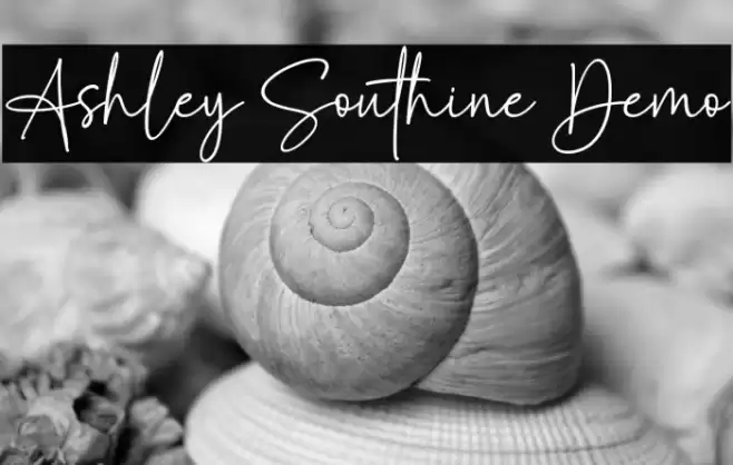 Ashley Southine Demo Schriftart examples